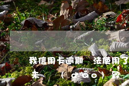 我信用卡逾期無法使用了怎么辦，信用卡逾期未還，導(dǎo)致無法正常使用，如何解決？